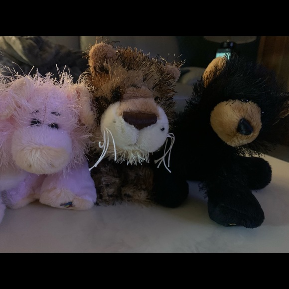 Webkins - Picture 4 of 5